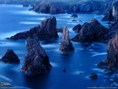 Tapeta National Geographic 384.jpg